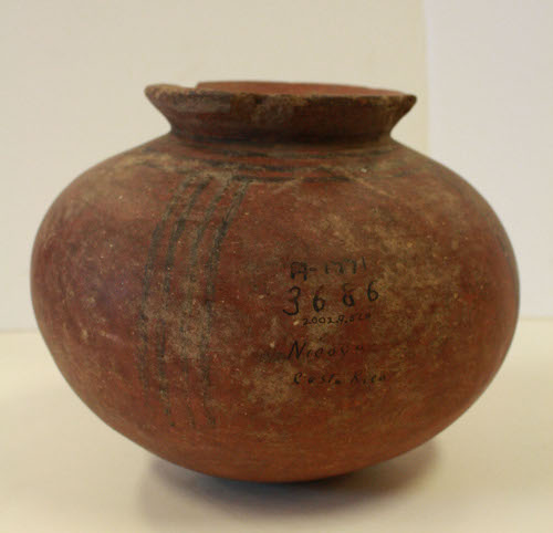 Olla