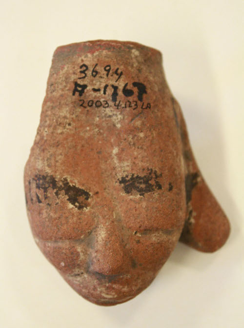 Head fragment
