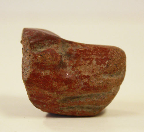 Fragment of animal nose