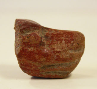 Fragment of animal nose