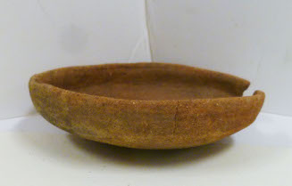 Dish