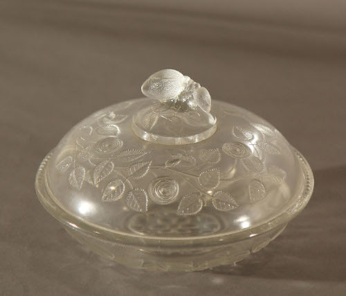Dish