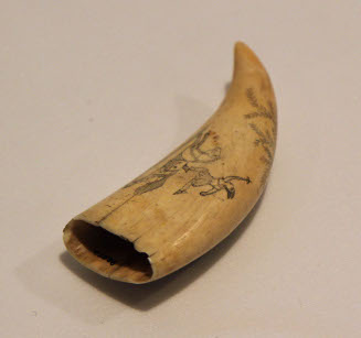 Scrimshaw