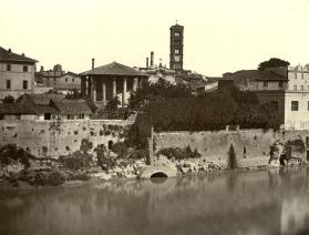 Bank Of The Tiber River