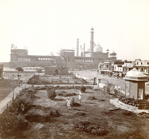 Jumma Musjid, Delhi, #1334 (or #1354)