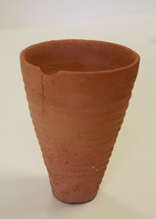 Cup