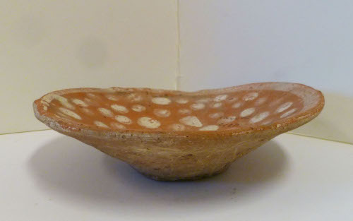 Dish
