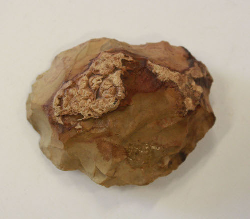 Flint Implement