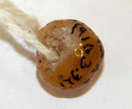 Bead