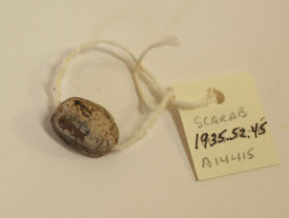 Scarab