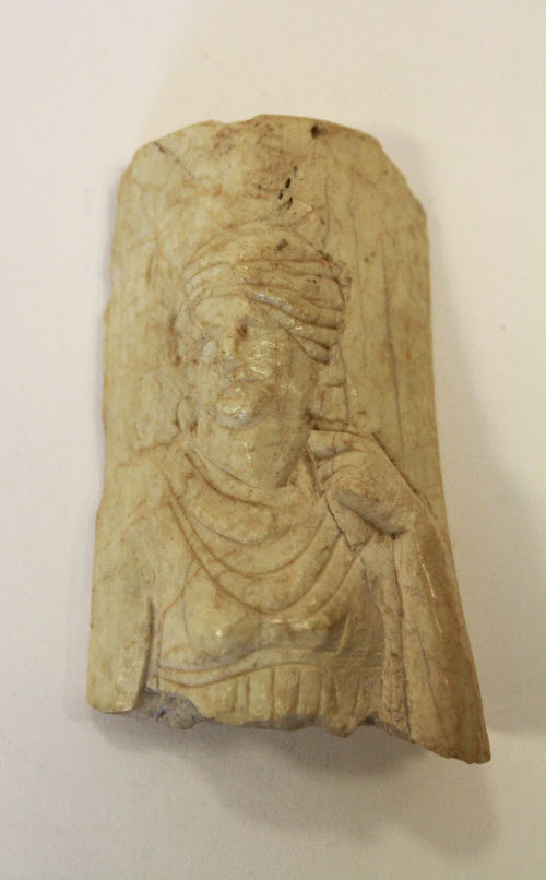 Plaque-fragment