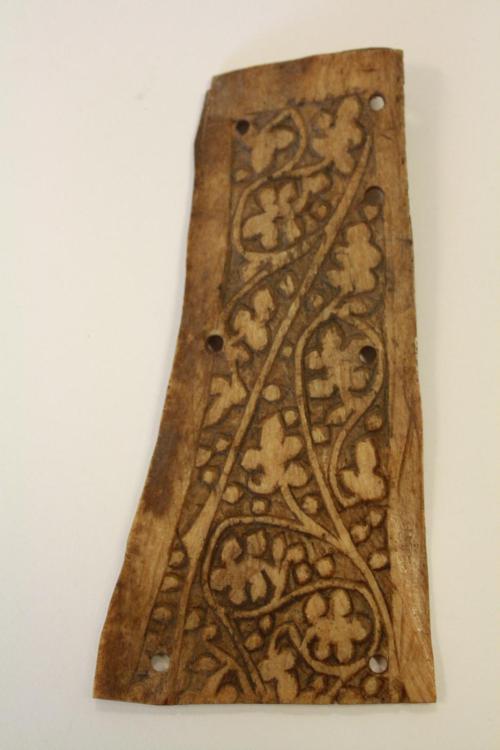 Bone panel