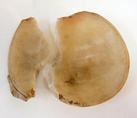 Alabaster bowl