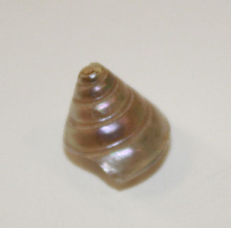 Bead