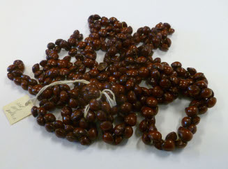 Seed Necklace