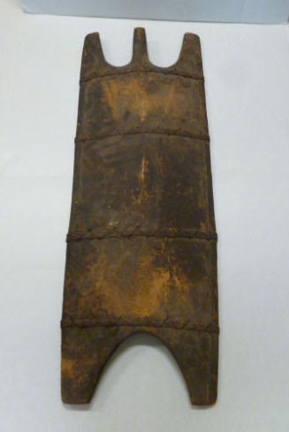 Shield