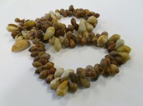 Necklace of shells