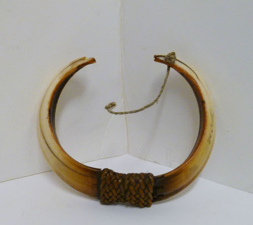 Tusk bracelet