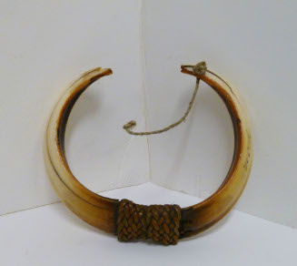 Tusk bracelet