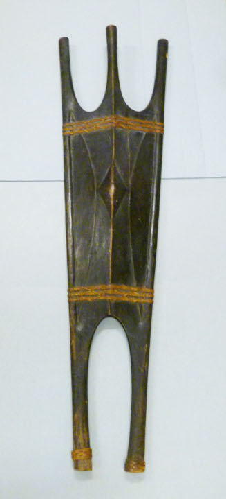 Shield