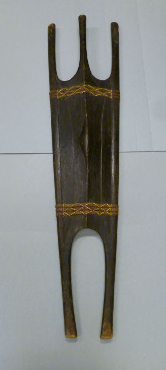 Shield