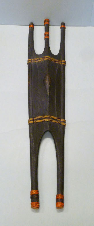 Shield