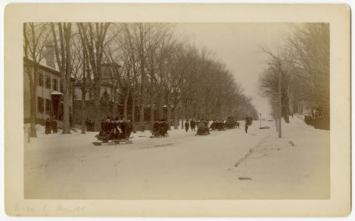 Winter carnival