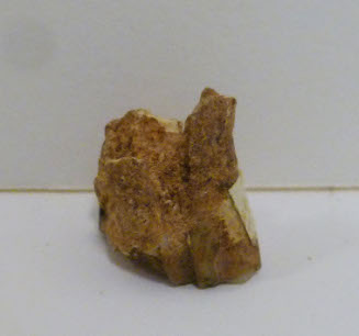 Fossil