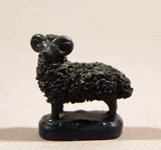 Grey sheep