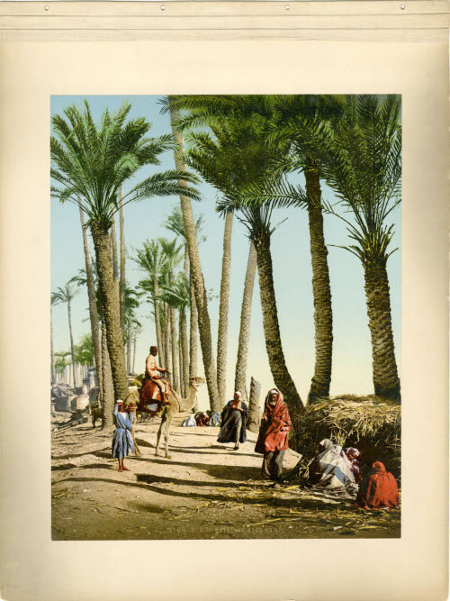 Kairo, Au Bord Du Nil; and Heliopolis