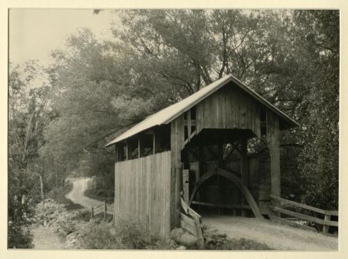 Dingle Brook, Lakeshore Charlotte, Chittenden County