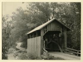 Dingle Brook, Lakeshore Charlotte, Chittenden County