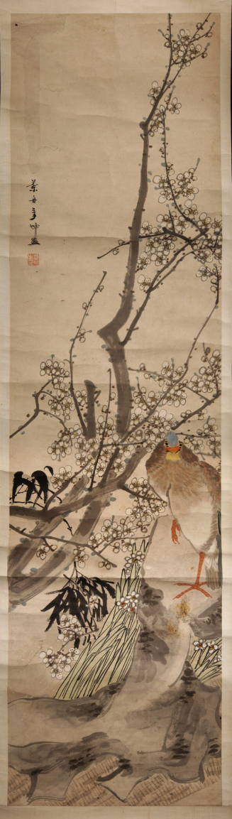 Rooster Among Cherry Blossoms
