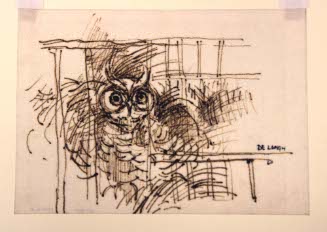Owl
