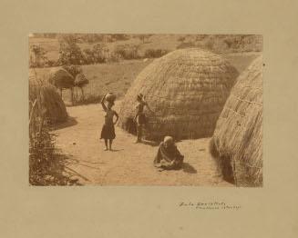 Zulu Grass Huts
